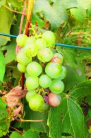 /album/exterier/img-8343-jpg/